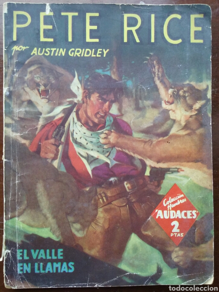 C&oacute;mics: El valle en llamas Pete Rice Hombres Audaces 29 - Foto 1