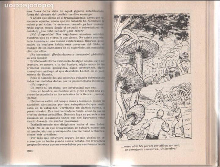 C&oacute;mics: JULIO VERNE - VIAJE AL CENTRO DE LA TIERRA - Foto 5