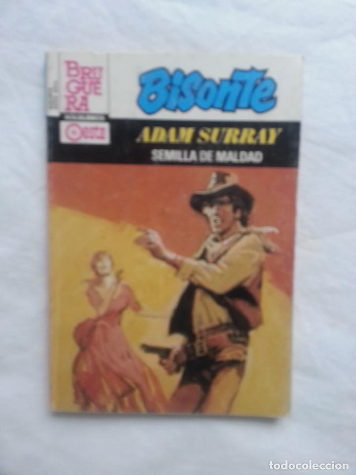 C&oacute;mics: SEMILLA DE MALDAD - ADAM SURRAY - BISONTE AZUL 711 - Foto 1