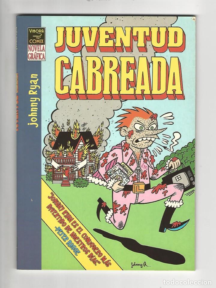 C&oacute;mics: La c&uacute;pula. Novela gr&aacute;fica. Juventud cabreada. Johnny Ryan. - Foto 1