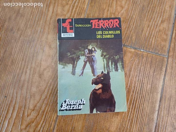 C&oacute;mics: TERROR N&ordm; 517 EDITORIAL BRUGUERA - Foto 1