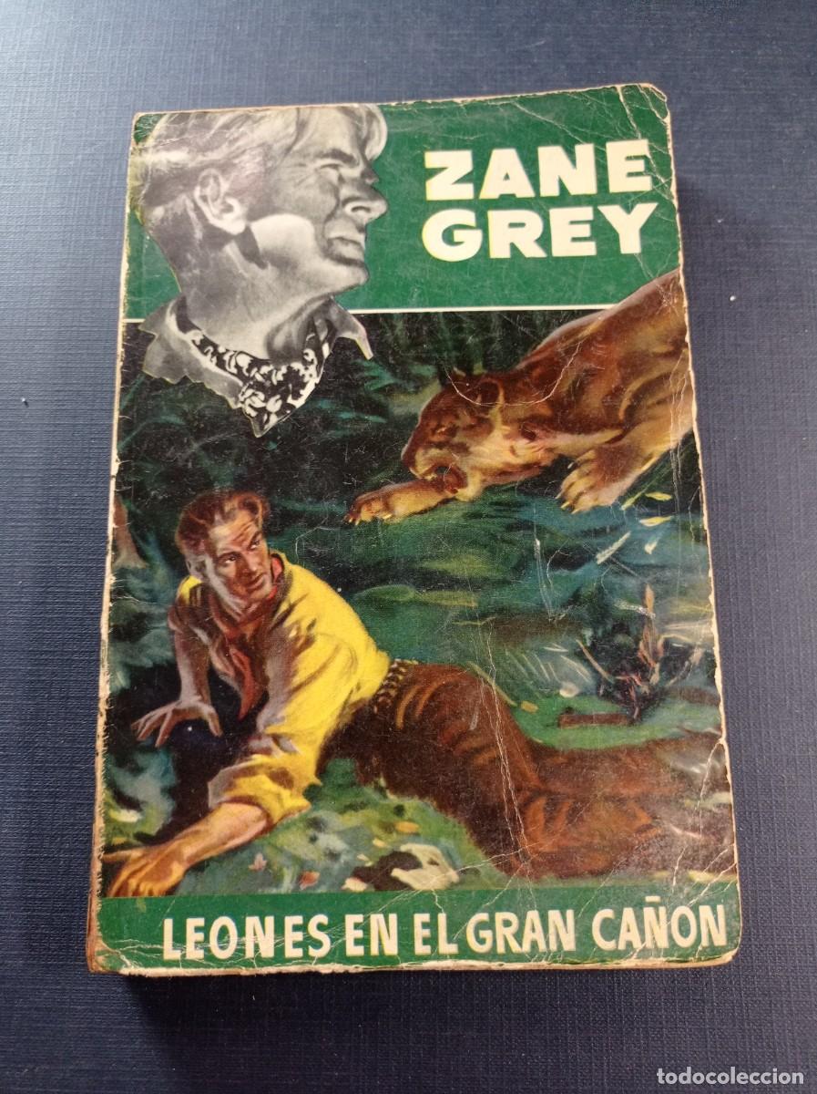 Cómics: LEONES EN EL GRAN CAÑÓN. ZANE GREY. AUTORES FAMOSOS SERIE VERDE Nº 24. BRUGUERA, 1951. PANÉ ARGELICH