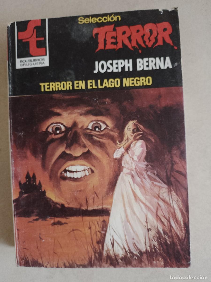 C&oacute;mics: NOVELAS BOLSILIBRO DE TERROR - Foto 7