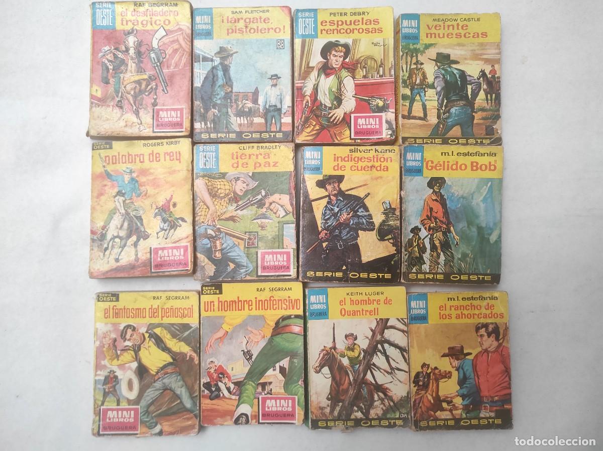 Comics: lote 12 novelas MINI LIBROS BRUGUERA OESTE ,, SILVER KANE , M.L. ESTEFANIA, usadas