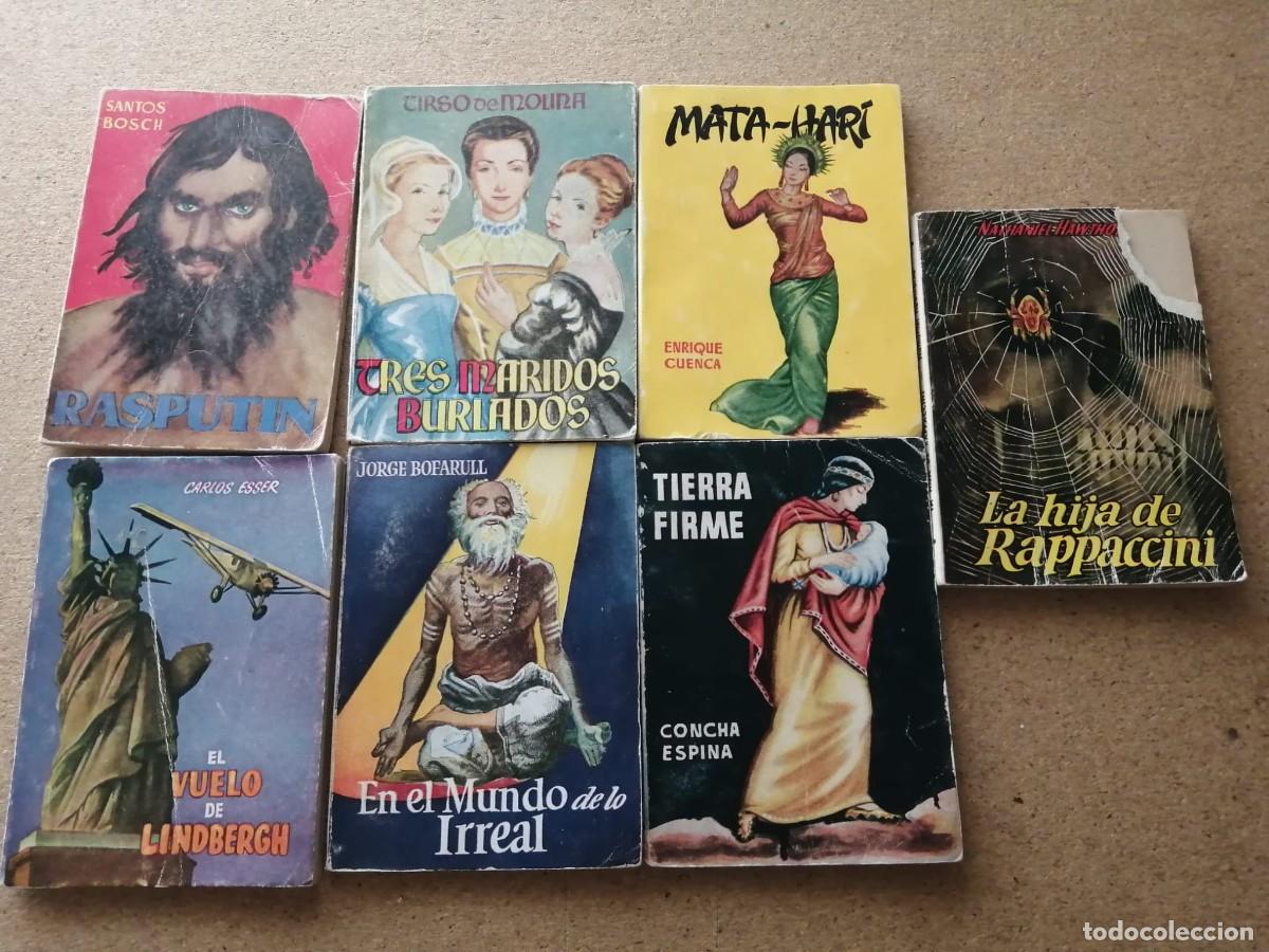 C&oacute;mics: LOTE 37 LIBRITOS PULGA