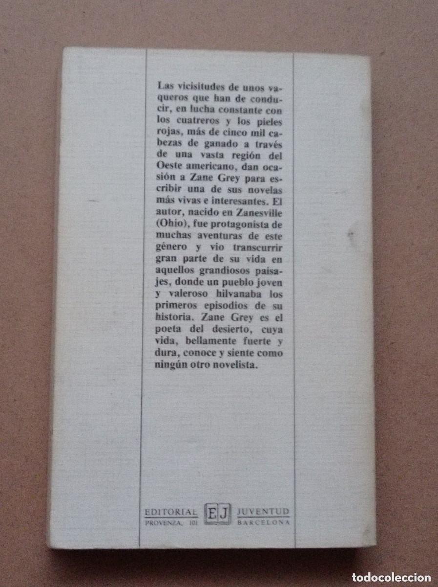 C&oacute;mics: EL CONDUCTOR DE MANADAS. ZANE GREY. EDITORIAL JUVENTUD, 1979. VER +++ - Foto 4