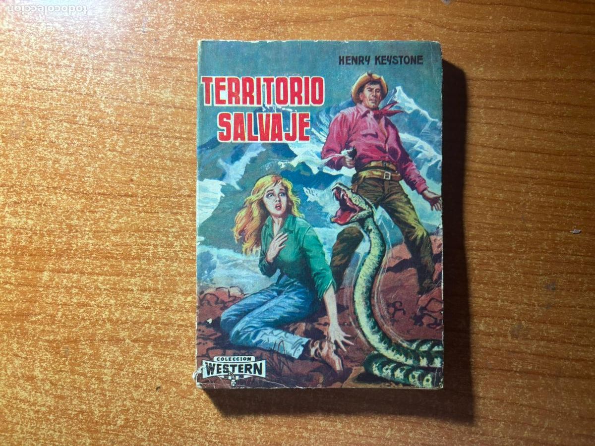 C&oacute;mics: COLECCION WESTERN N&ordm; 30 EDITORIAL VALENCIANA