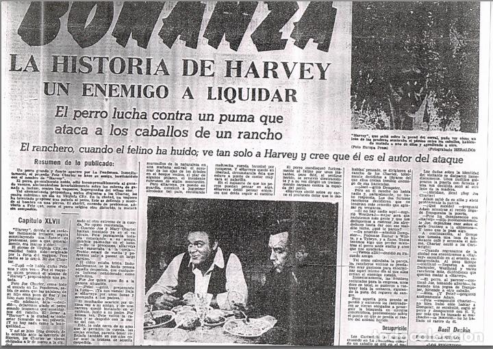 Cómics: AVENTURAS DE BONANZA EN LA PRENSA: HERALDO DE ARAGON, 1965 == BONANZA, LA SERIE DE TV - Foto 7 - 104130371