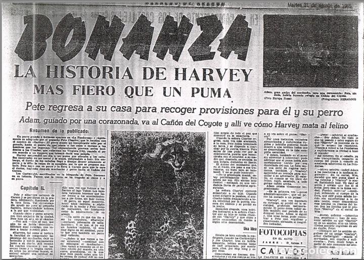 Cómics: AVENTURAS DE BONANZA EN LA PRENSA: HERALDO DE ARAGON, 1965 == BONANZA, LA SERIE DE TV - Foto 9 - 104130371