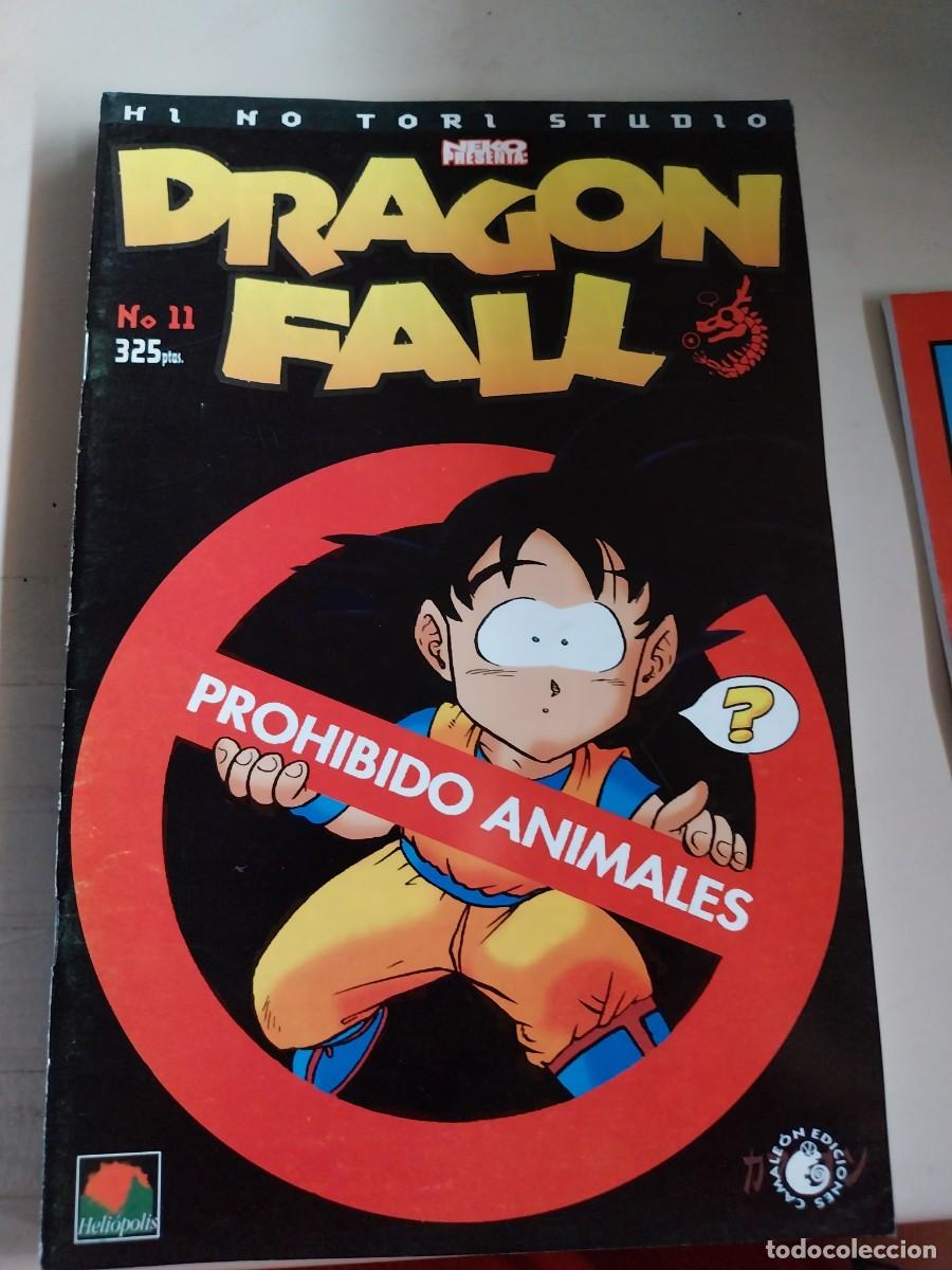 C&oacute;mics: Revista Dragon Fall Ed.1997 - Foto 2