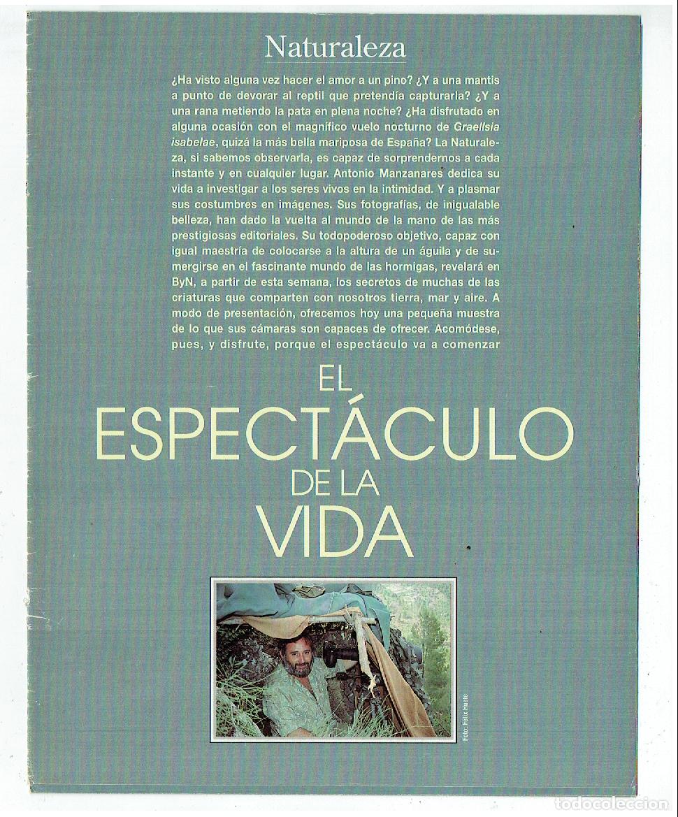 C&oacute;mics: FASC&Iacute;CULO. NATURALEZA. EL ESPECT&Aacute;CULO DE LA VIDA. (B41.1) - Foto 1