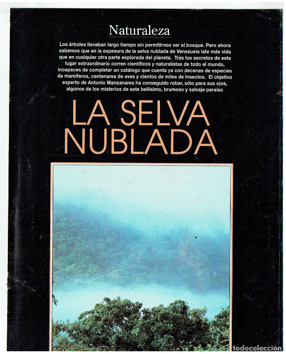 C&oacute;mics: FASC&Iacute;CULO. NATURALEZA. LA SELVA NUBLADA. (B41.1) - Foto 1