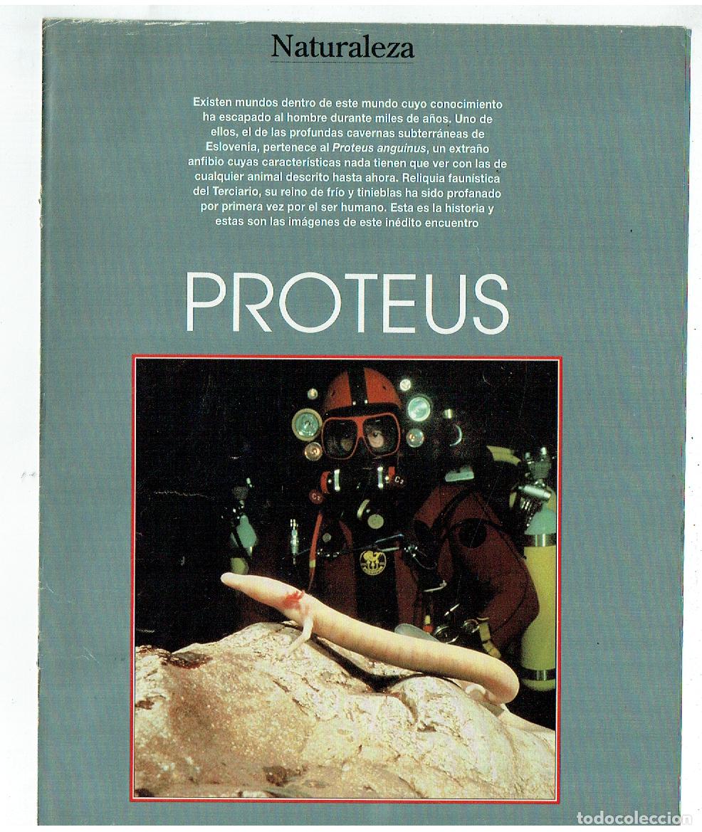 C&oacute;mics: FASC&Iacute;CULO. NATURALEZA. PROTEUS. (B41.1) - Foto 1