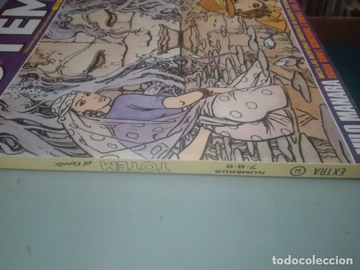 C&oacute;mics: TOTEM EXTRA 3 # B2 - Foto 2