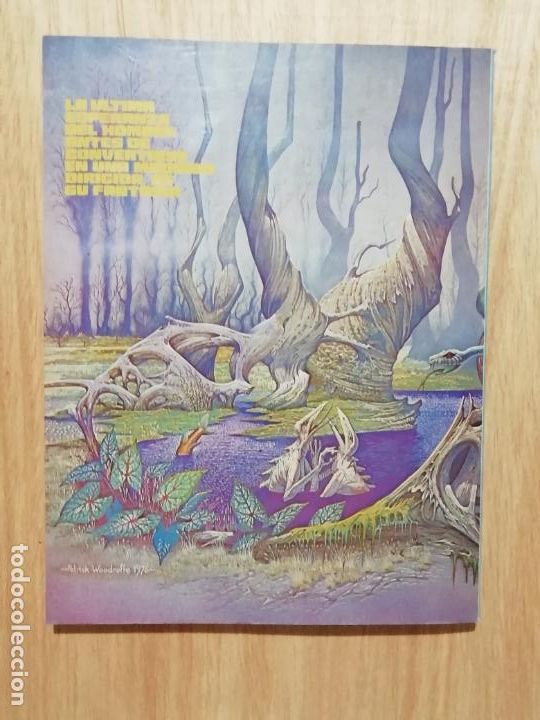 C&oacute;mics: COMIC ZONA 84- ANTOLOGIA N&deg; 6 - Foto 5