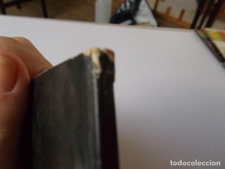 C&oacute;mics: LA COSA DEL PANTANO - Foto 2
