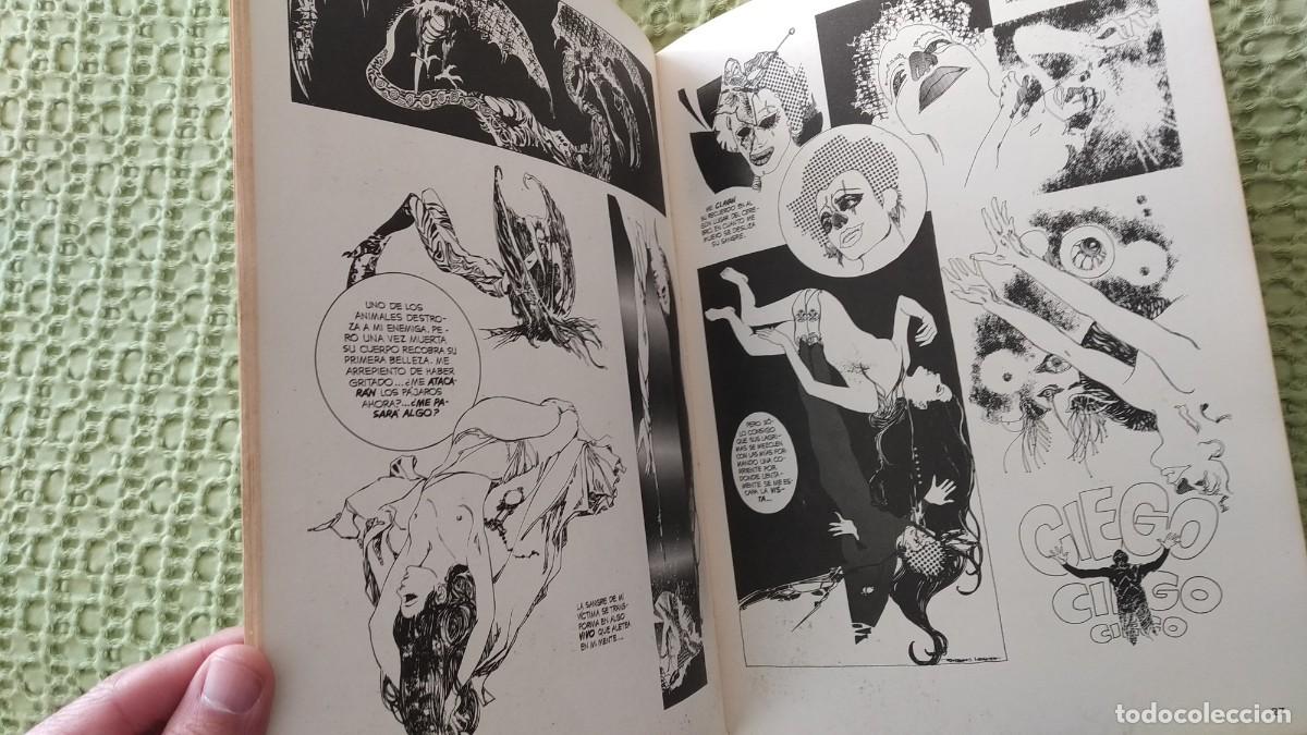 C&oacute;mics: Esteban Maroto - Foto 2
