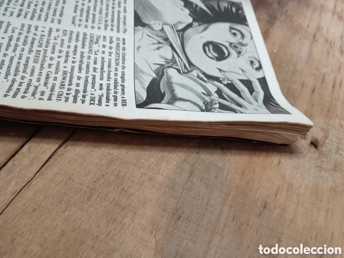 C&oacute;mics: LOTE 4 COMIC TOTEM. - Foto 10