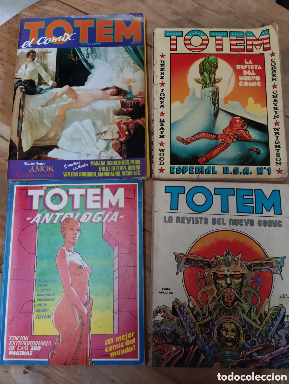 C&oacute;mics: LOTE 4 COMIC TOTEM. - Foto 1