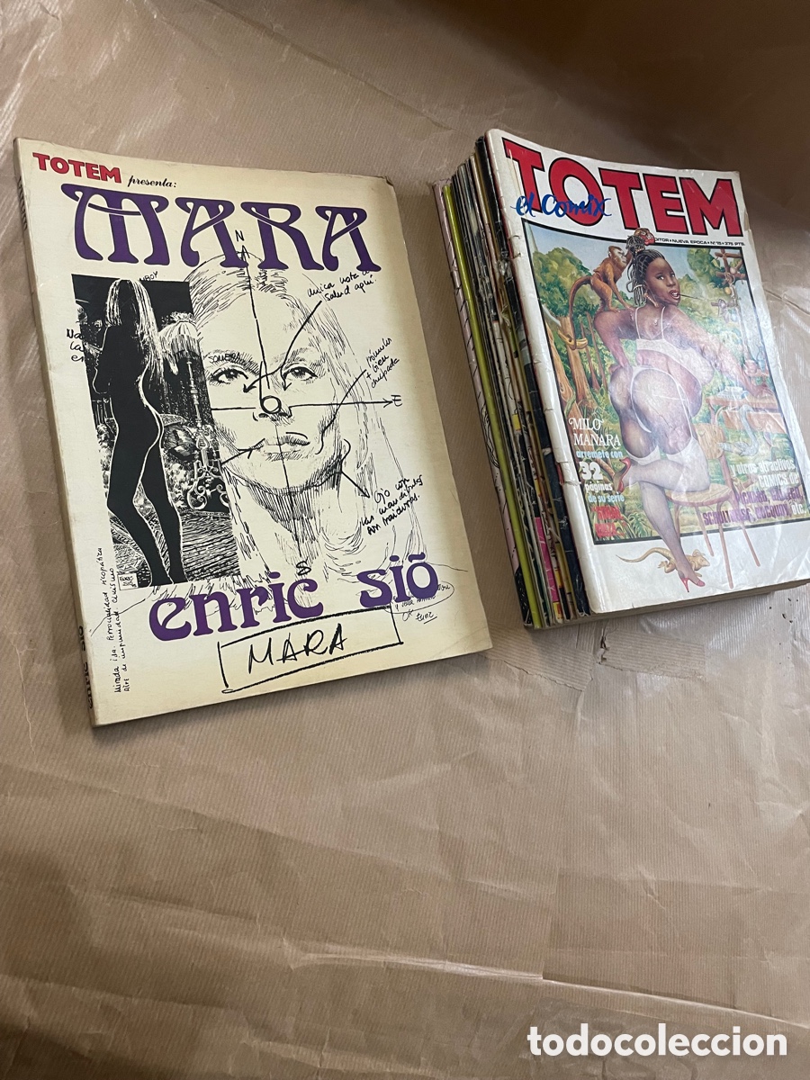 C&oacute;mics: T&oacute;tem Lote 12 Comics - Foto 1