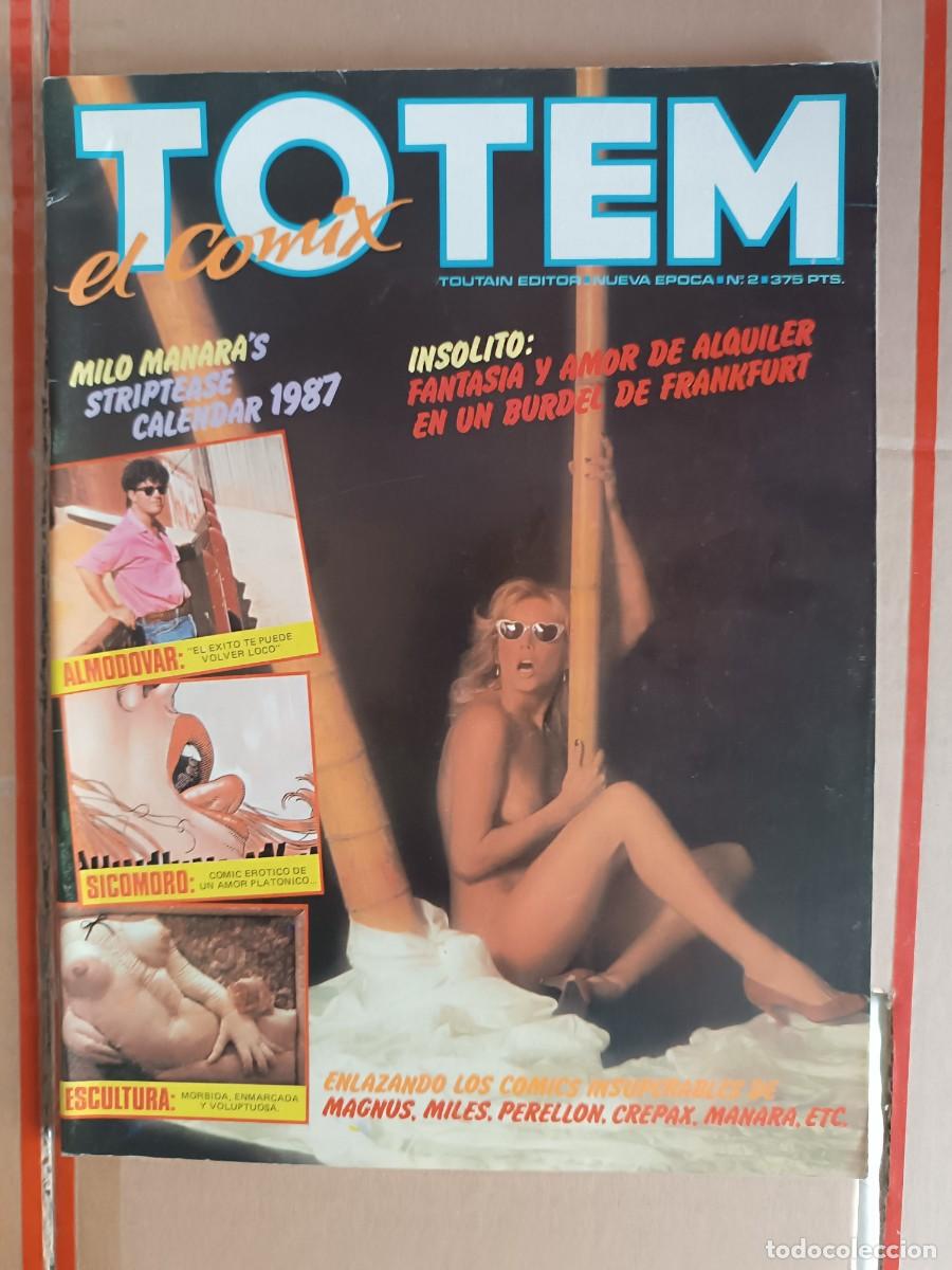 C&oacute;mics: TOTEM EL COMIX 2 TOUTAIN - Foto 1