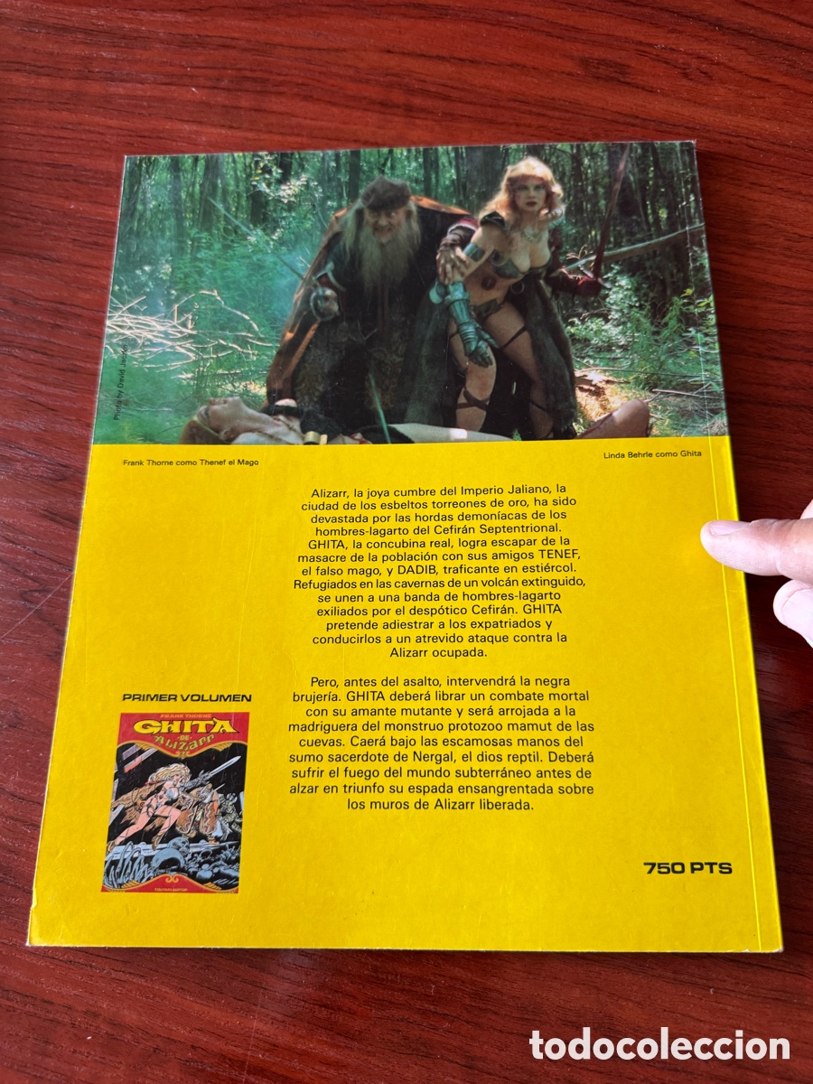 C&oacute;mics: C&ograve;mic Guita de alizarr toutain Frank thorne - Foto 5