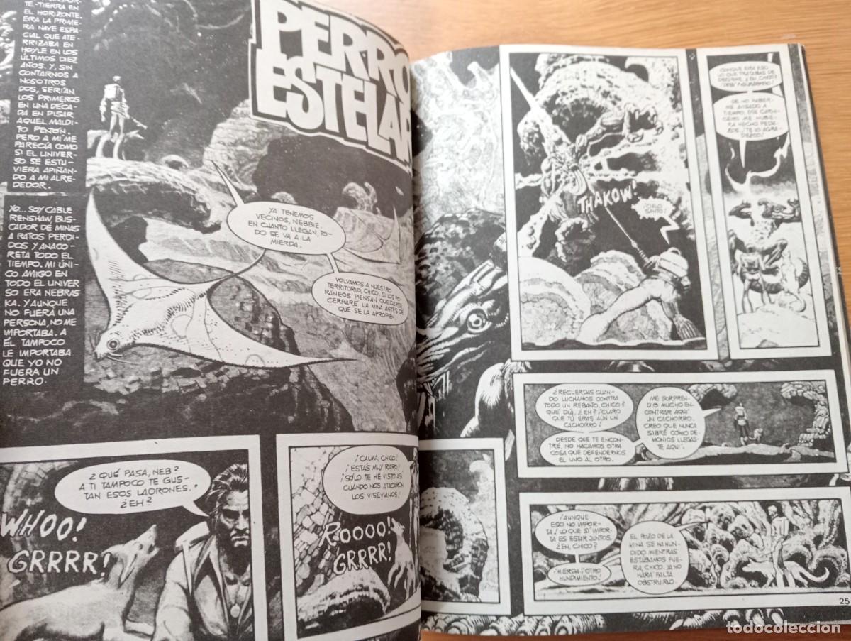 C&oacute;mics: ALMANAQUE 1984. R&Uacute;STICA. TOUTAIN EDITOR. 1981. - Foto 7