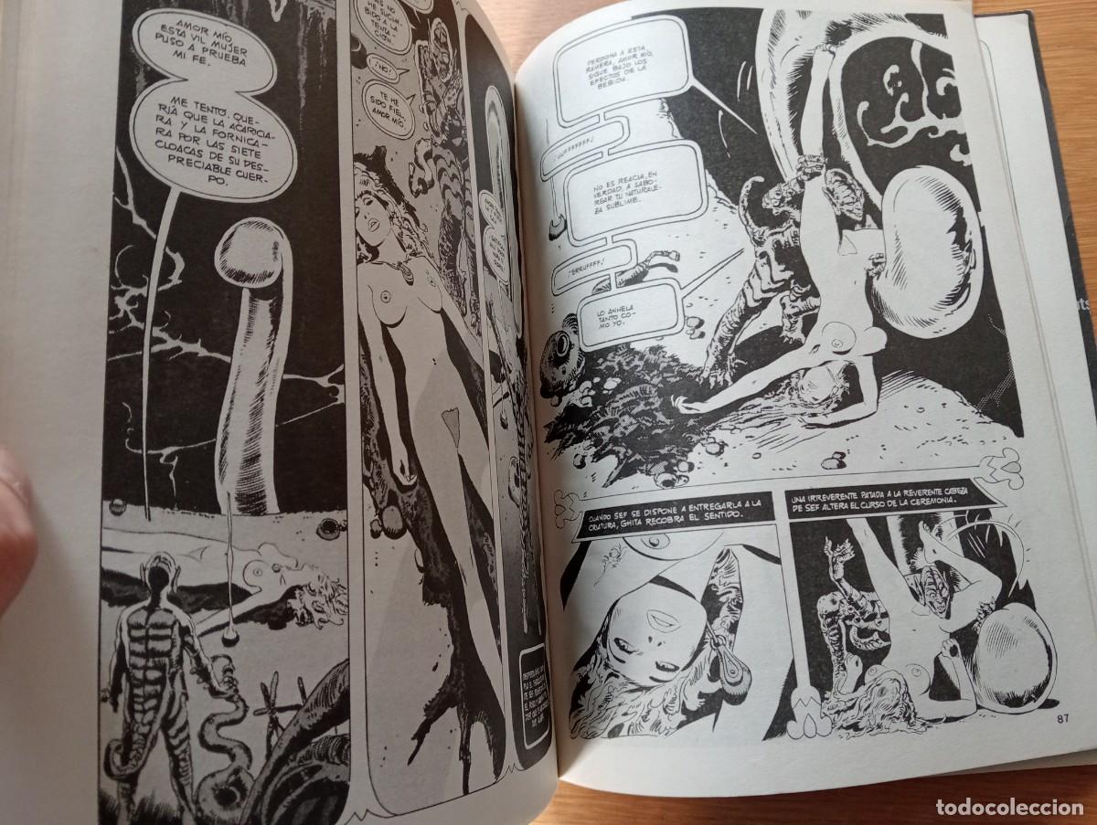 C&oacute;mics: ALMANAQUE 1984. R&Uacute;STICA. TOUTAIN EDITOR. 1981. - Foto 13