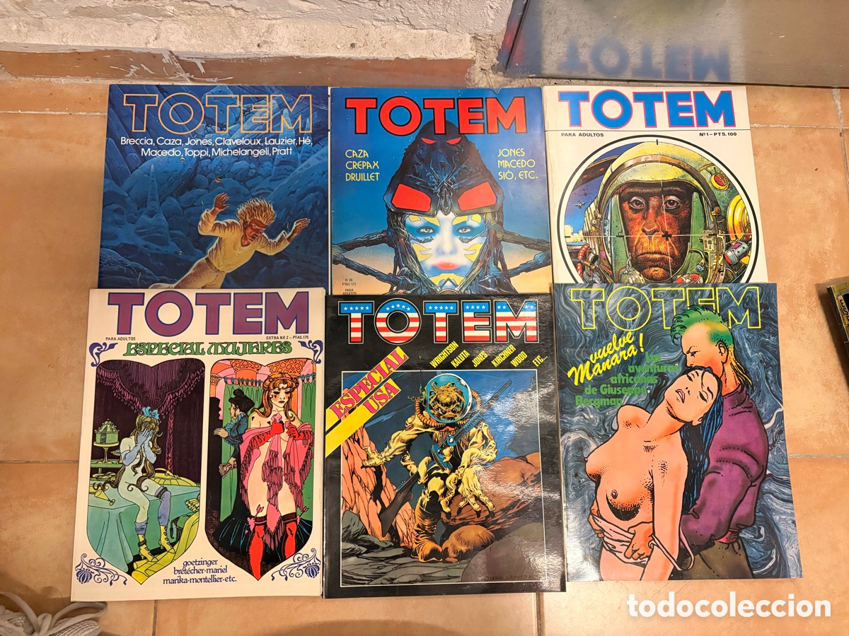Comics: Colecci&oacute;n T&oacute;tem excelente estado
