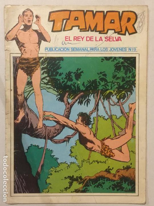 C&oacute;mics: COMIC TAMAR. EL REY DE LA SELVA. N&ordm;19. - Foto 1