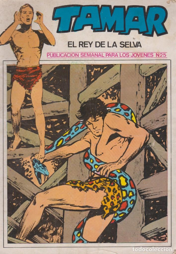 C&oacute;mics: TAMAR -- EL REY DE LA SELVA-- N&ordm; 25 LOS CAVERN&Iacute;COLAS - Foto 1