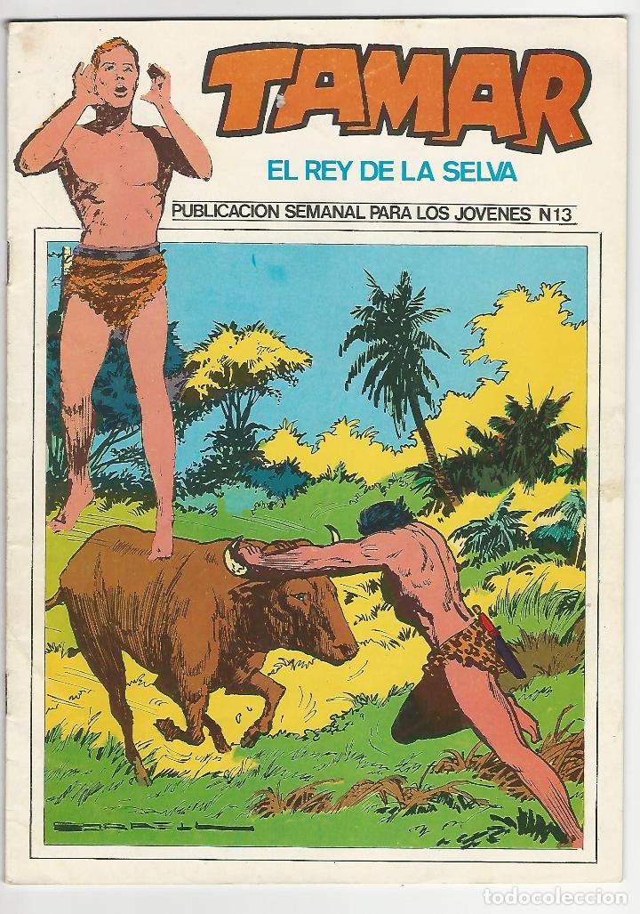 C&oacute;mics: Ursus. Tamar el rey de la selva. 13. - Foto 1