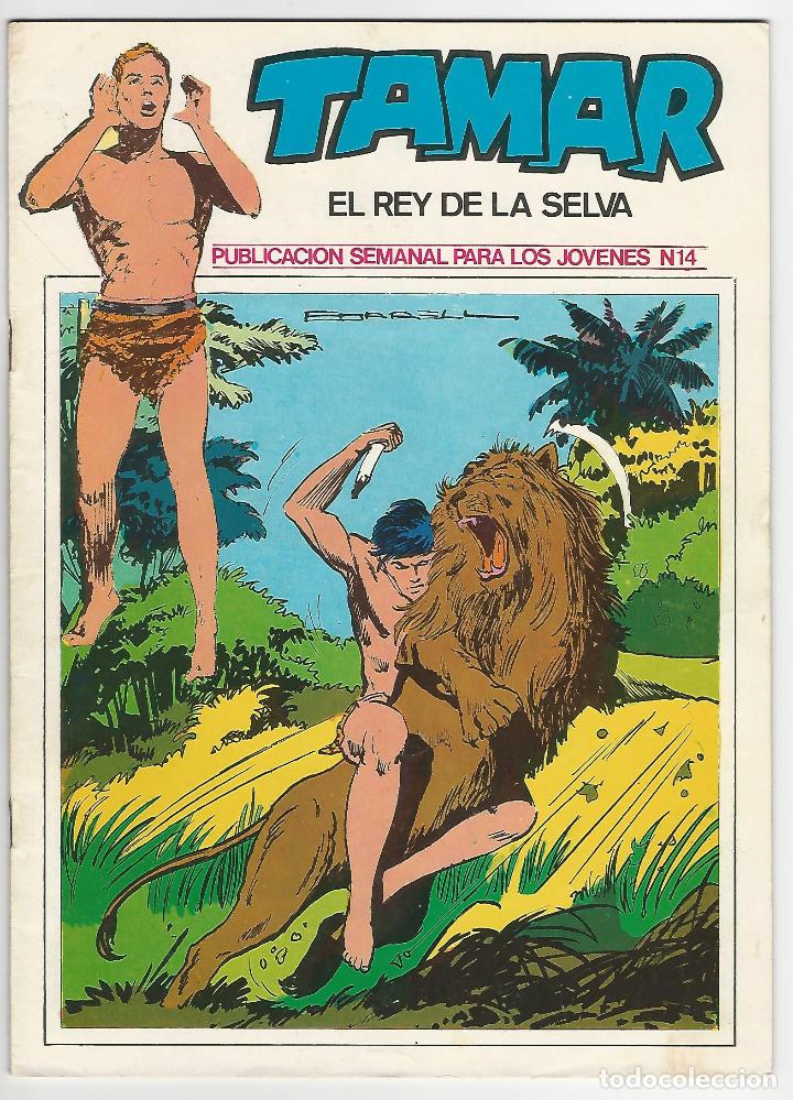 C&oacute;mics: Ursus. Tamar el rey de la selva. 14. - Foto 1