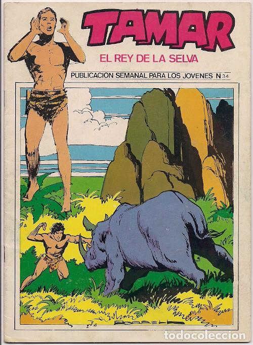 C&oacute;mics: Ursus. Tamar el rey de la selva. 34. - Foto 1