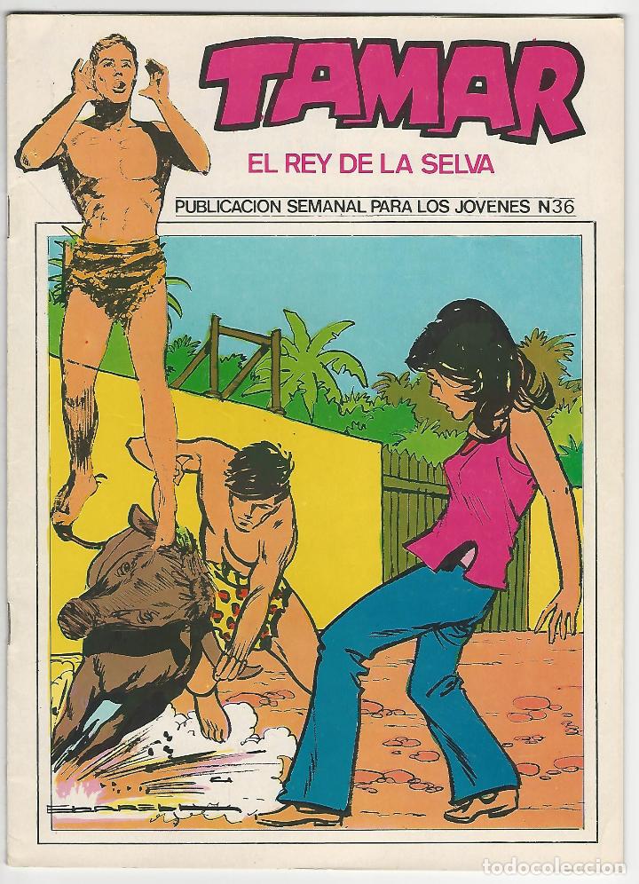 C&oacute;mics: Ursus. Tamar el rey de la selva. 36. - Foto 1
