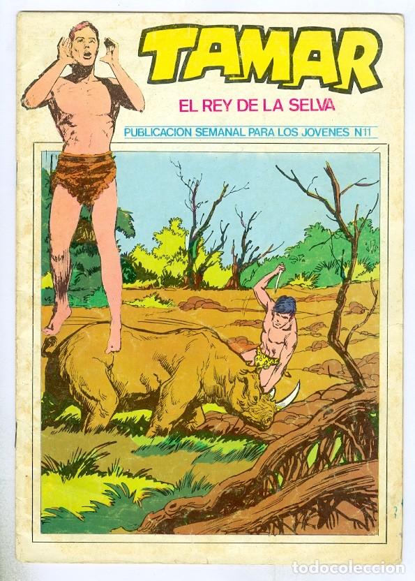 C&oacute;mics: Ursus. Tamar el rey de la selva. 11. - Foto 1
