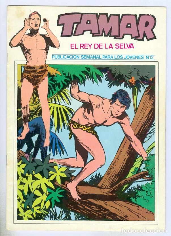 C&oacute;mics: Ursus. Tamar el rey de la selva. 12. - Foto 1