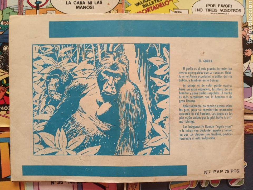 C&oacute;mics: Tamar 7 El rey de la selva cj67 - Foto 2