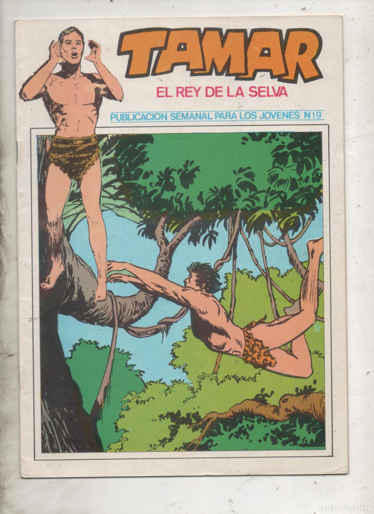 C&oacute;mics: TAMAR REY DE LA SELVA N&ordm; 19 - ursus. D8 - Foto 1