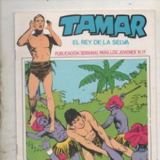 Cómics: TAMAR REY DE LA SELVA Nº 29 - URSUS. D8