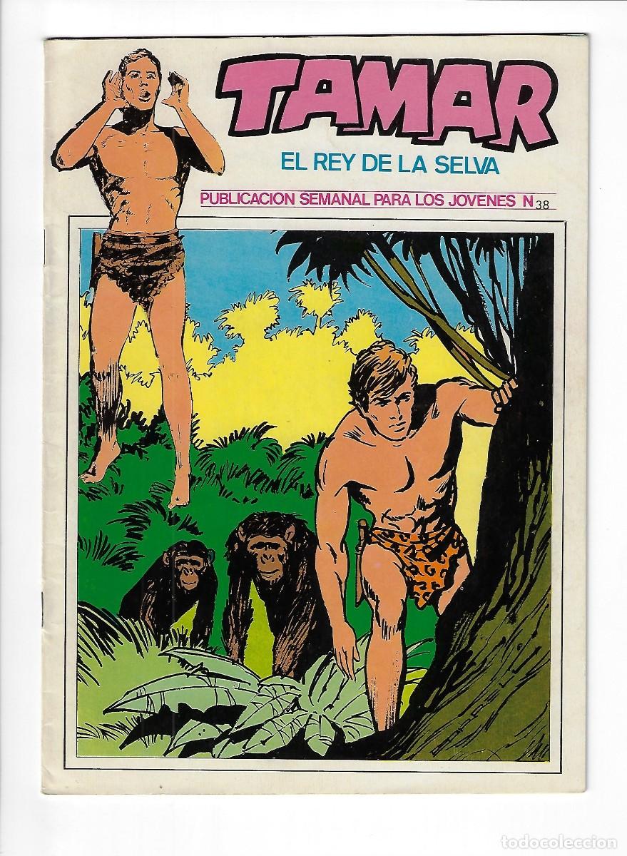 C&oacute;mics: Ursus. Tamar el rey de la selva. 38. - Foto 1