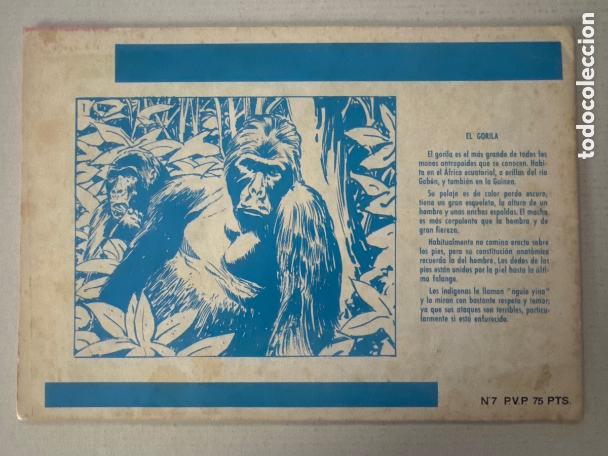 C&oacute;mics: TAMAR #7 El rey de la selva - URSUS - Foto 2