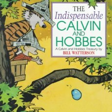 Cómics: THE INDISPENSABLE CALVIN AND HOBBES - 1991 - RÚSTICA - 256 PÁGINAS. Lote 245215940