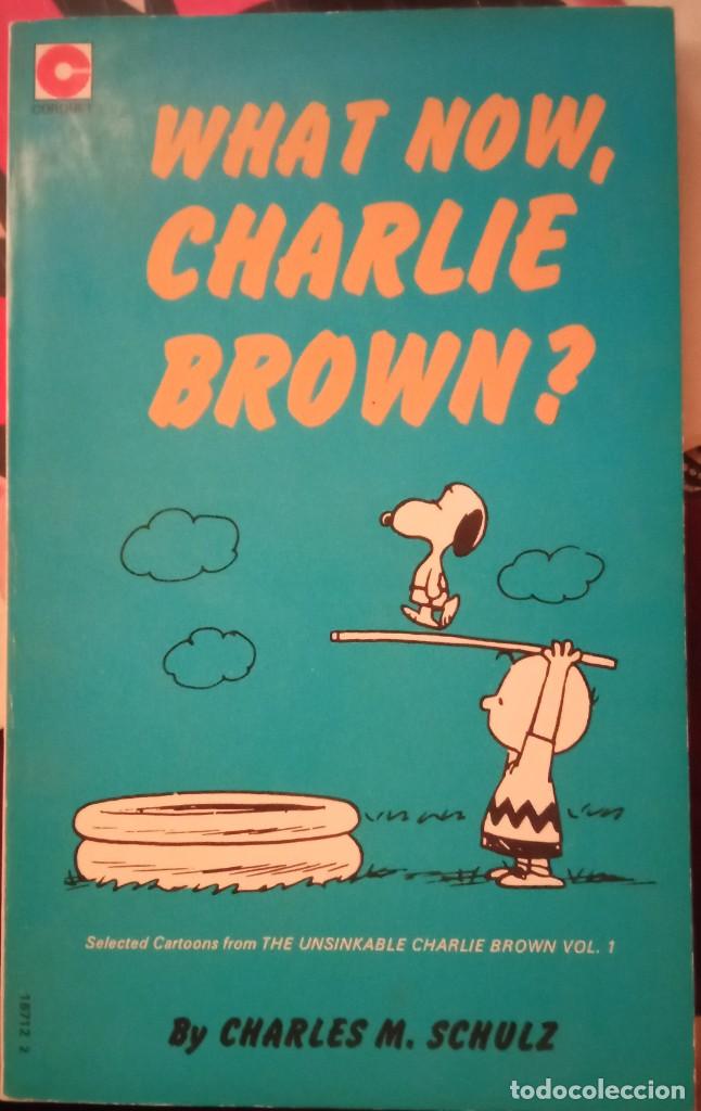 C&oacute;mics: What Now, Charlie Brown? - Foto 1