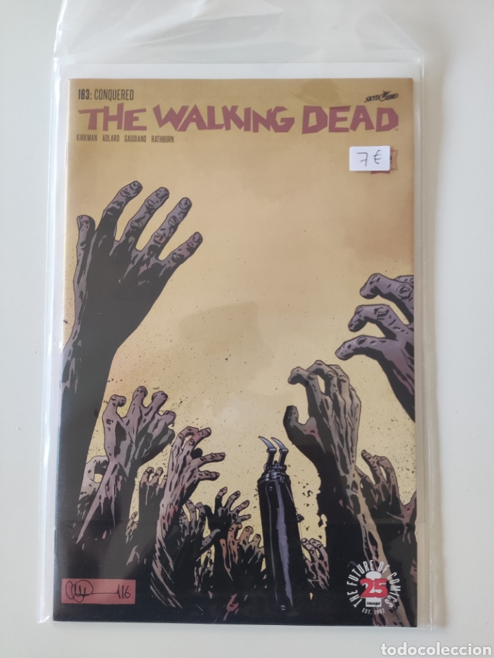 C&oacute;mics: Walking Dead 163 Image 2017