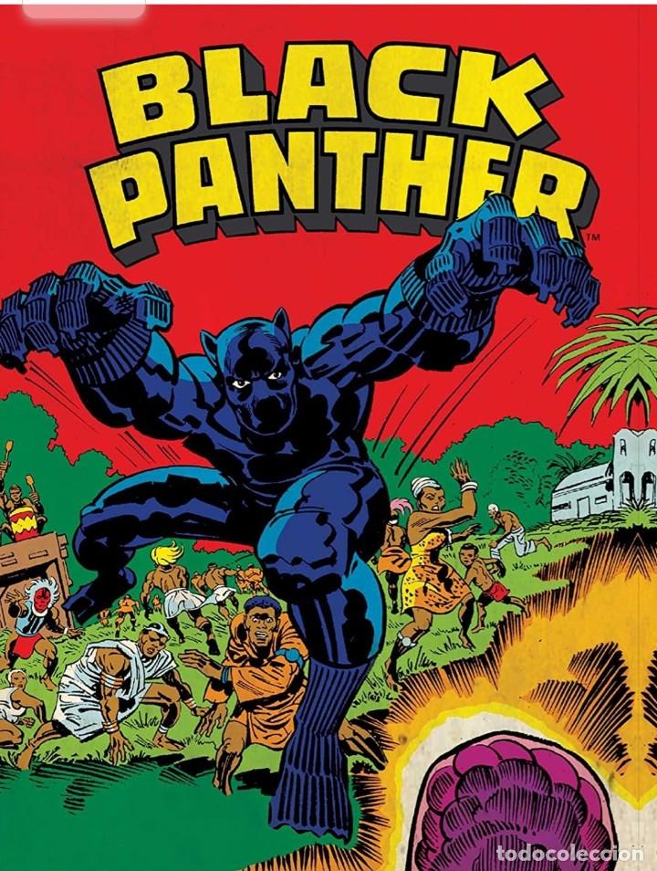C&oacute;mics: Marvel Comics: Black Panther Deluxe Note Card Set - Foto 2