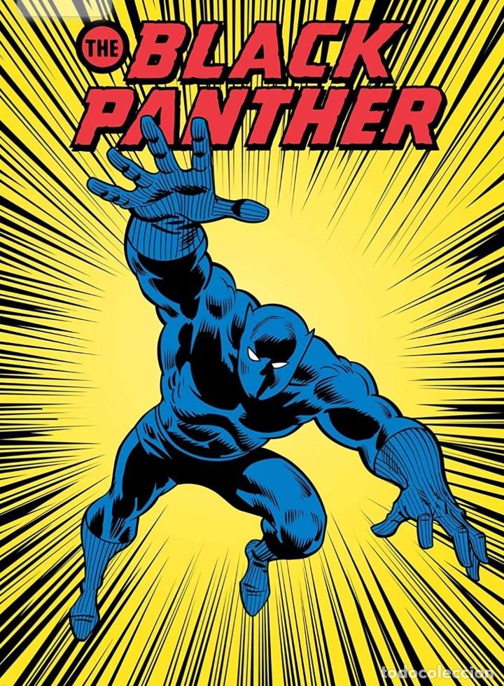 C&oacute;mics: Marvel Comics: Black Panther Deluxe Note Card Set - Foto 3
