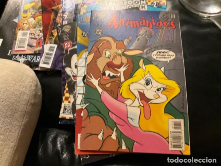 C&oacute;mics: Pick original usa dc Animaniacs 17 - Foto 1