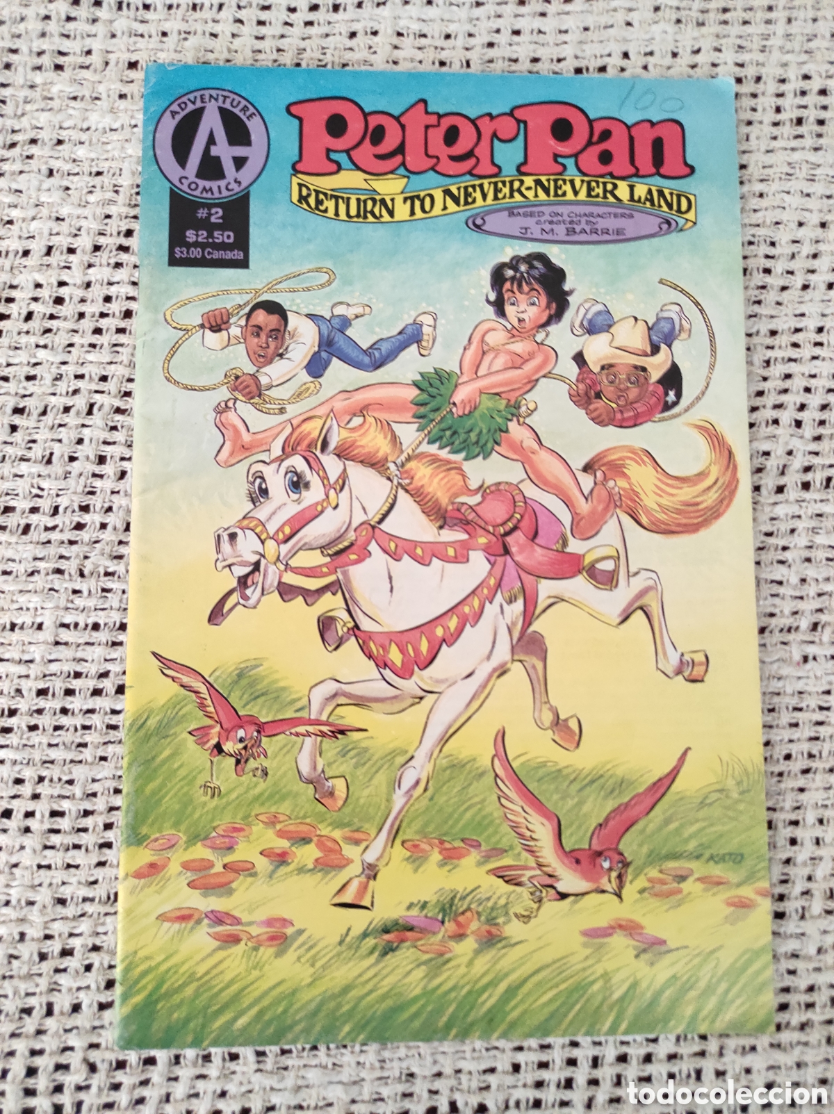C&oacute;mics: Peter Pan Return to Never-Never Land N&ordm; 2 - COMICS USA 1991