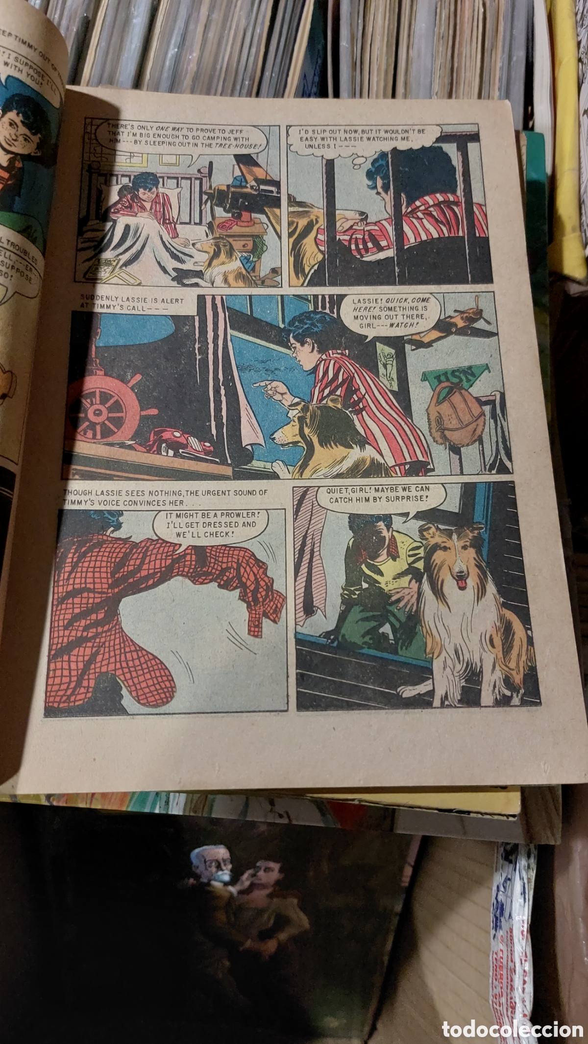 C&oacute;mics: Lassie ed DELL - Foto 2